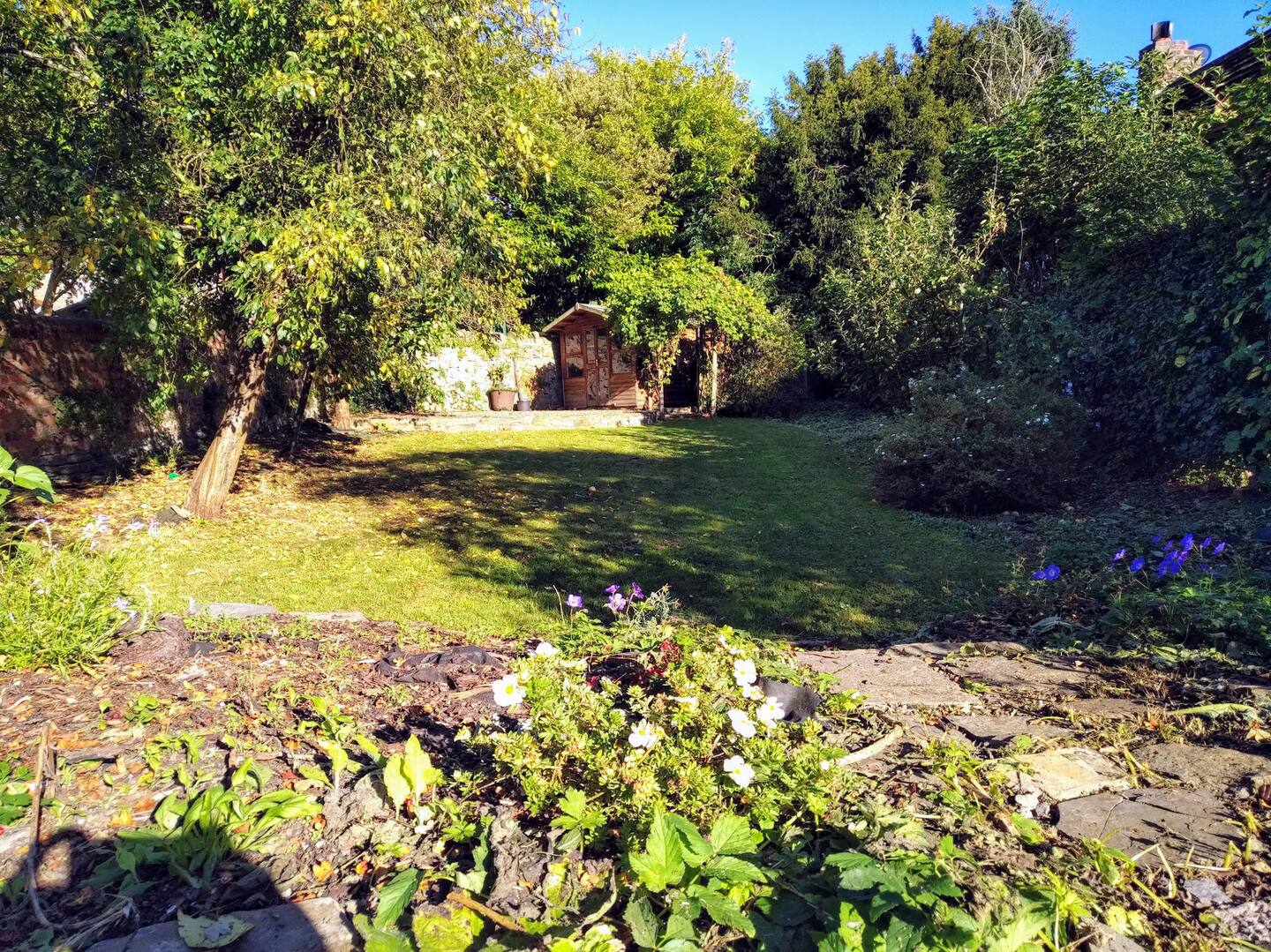 Garden lawn with mature trees