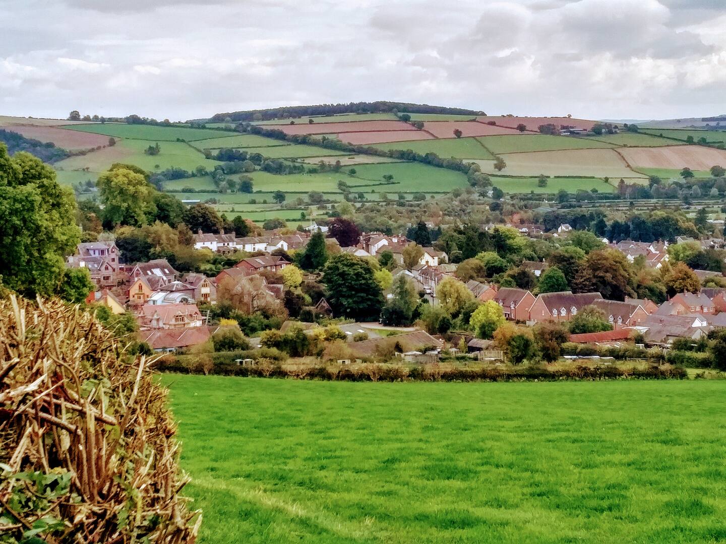Local area with rolling hills